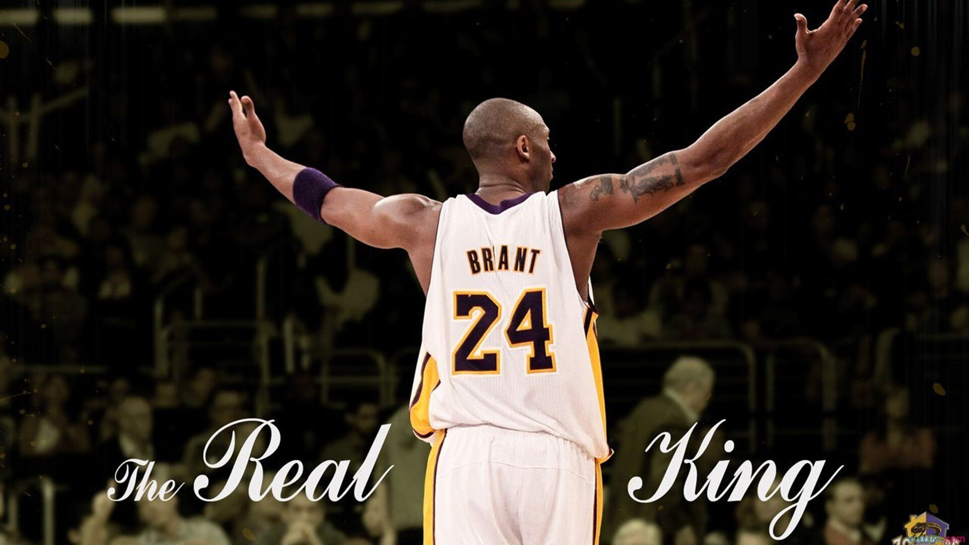 2026世界杯之夜，奥斯梅恩的传奇，非洲雄鹰的加冕时刻