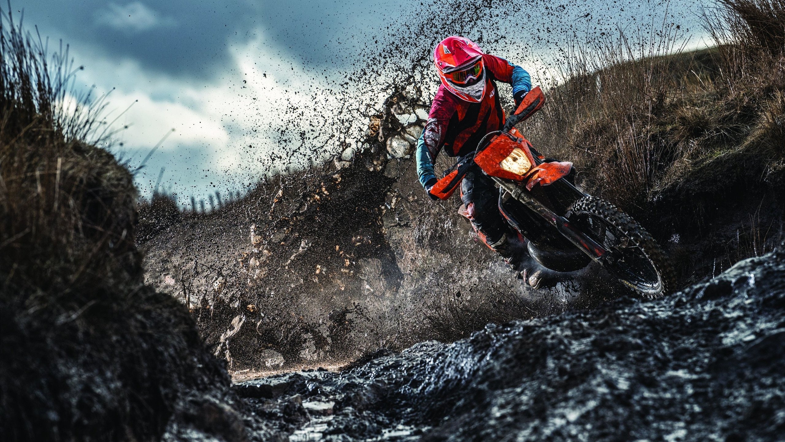 国王完胜上海队，布克独挑大梁，扛起全队荣耀之战